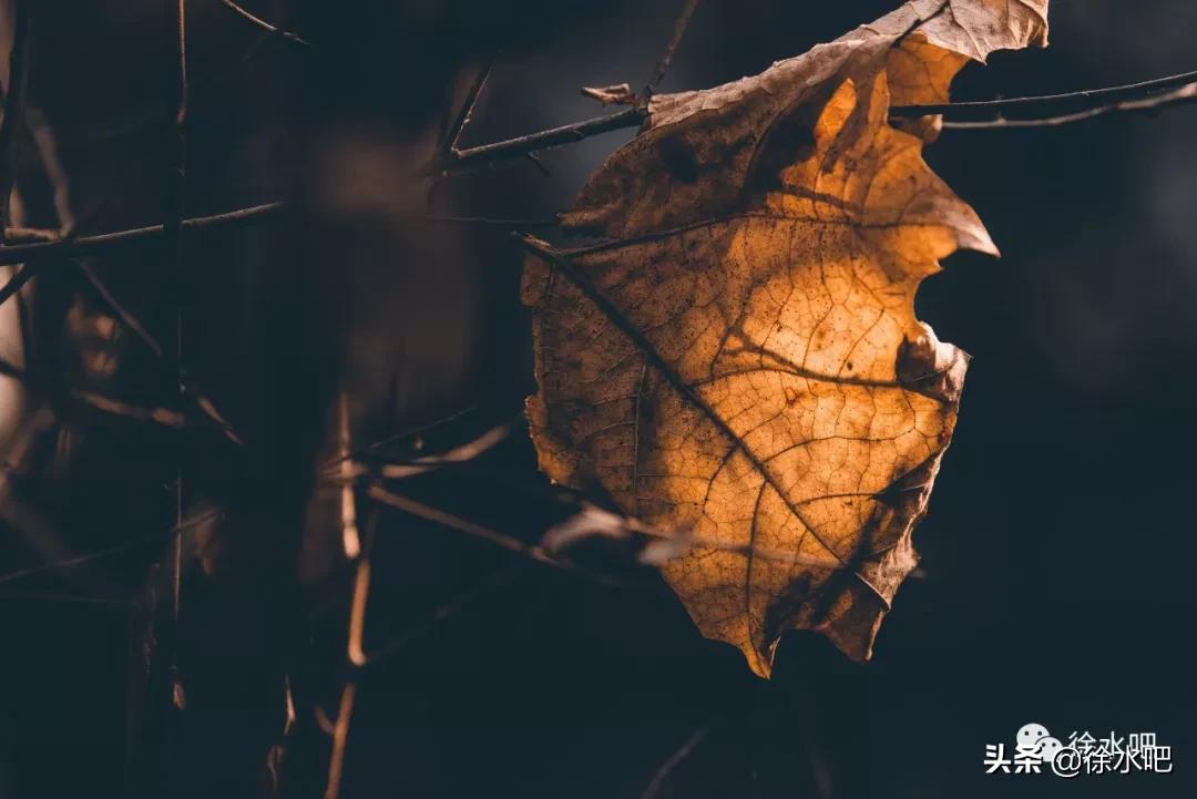 「徐水映像」换个角度看保定徐水,美