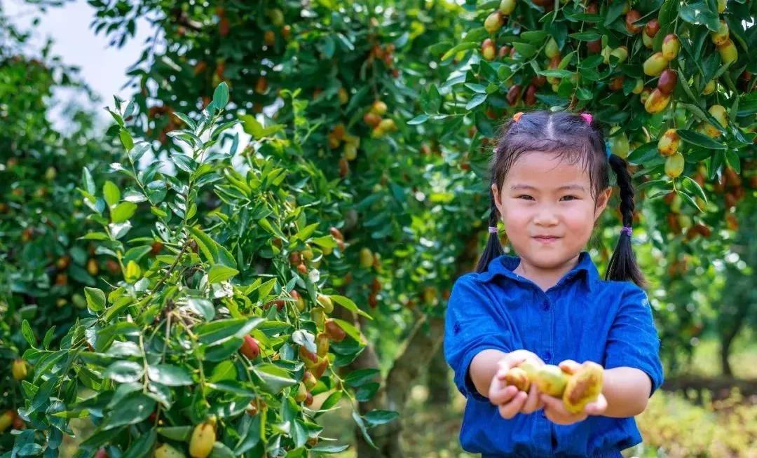 滁州市美景,安徽滁州美丽风景冬天视频