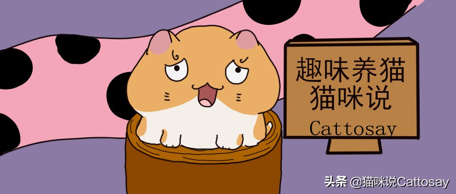 猫变得很有攻击性怎么办,猫突然变得很凶攻击主人还能养吗