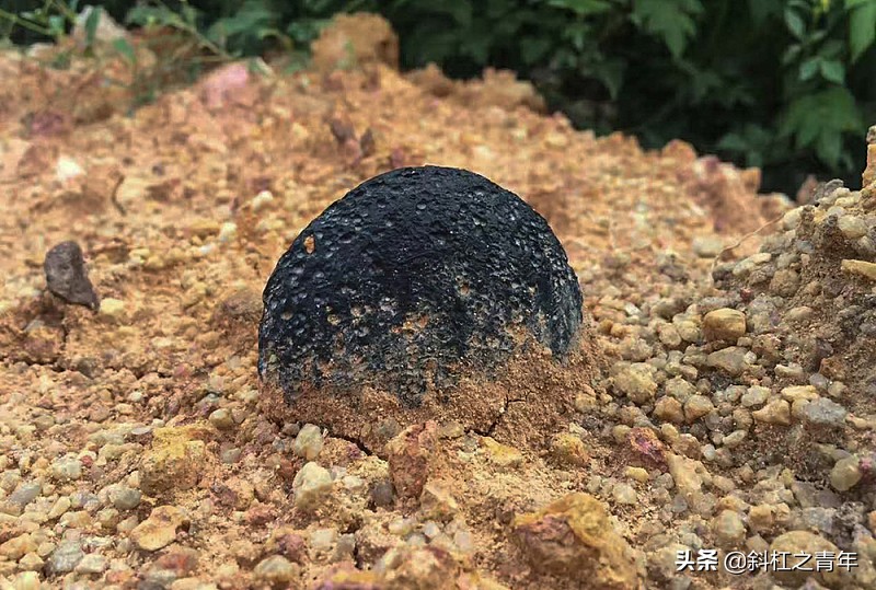 闲鱼运营简介怎么写,闲鱼运营新手必备技巧