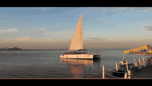 滨海新区开放海滩,滨海新区的沙滩