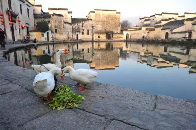 全国十大古村镇,中国十大古村镇