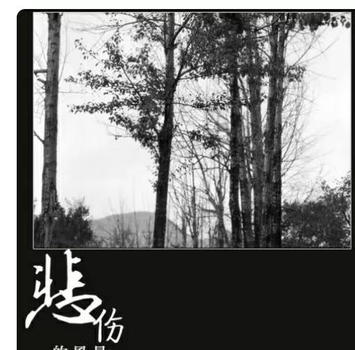 走出重度抑郁症开悟,走出抑郁自我疗愈课程