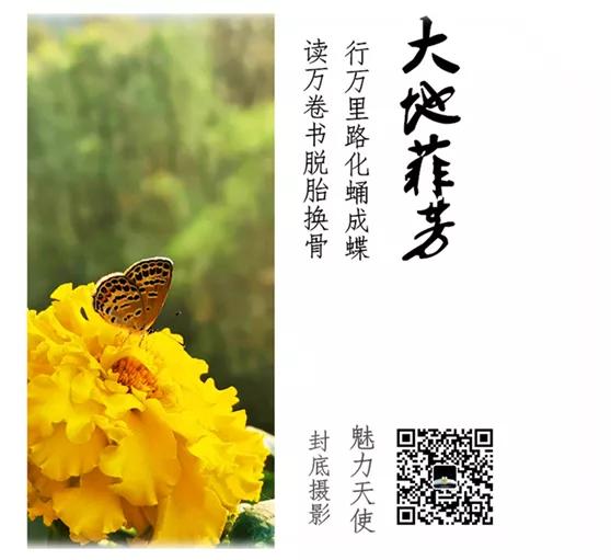 蔚蓝的天空借景抒情,蔚蓝的天空的优美比喻句子