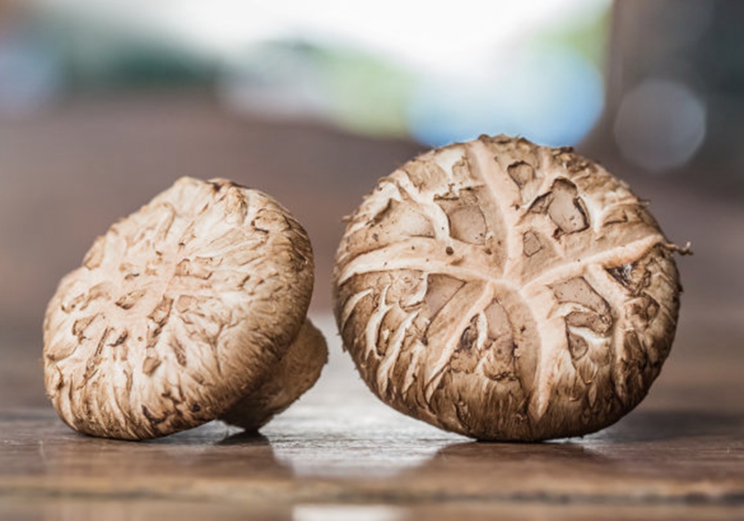 香菇种植怎么预防霉菌,香菇杂菌防治小妙招