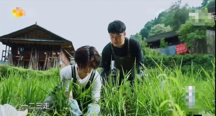 彭昱畅陈赫邓超吃花生,快乐大本营陈赫拿鸡肝