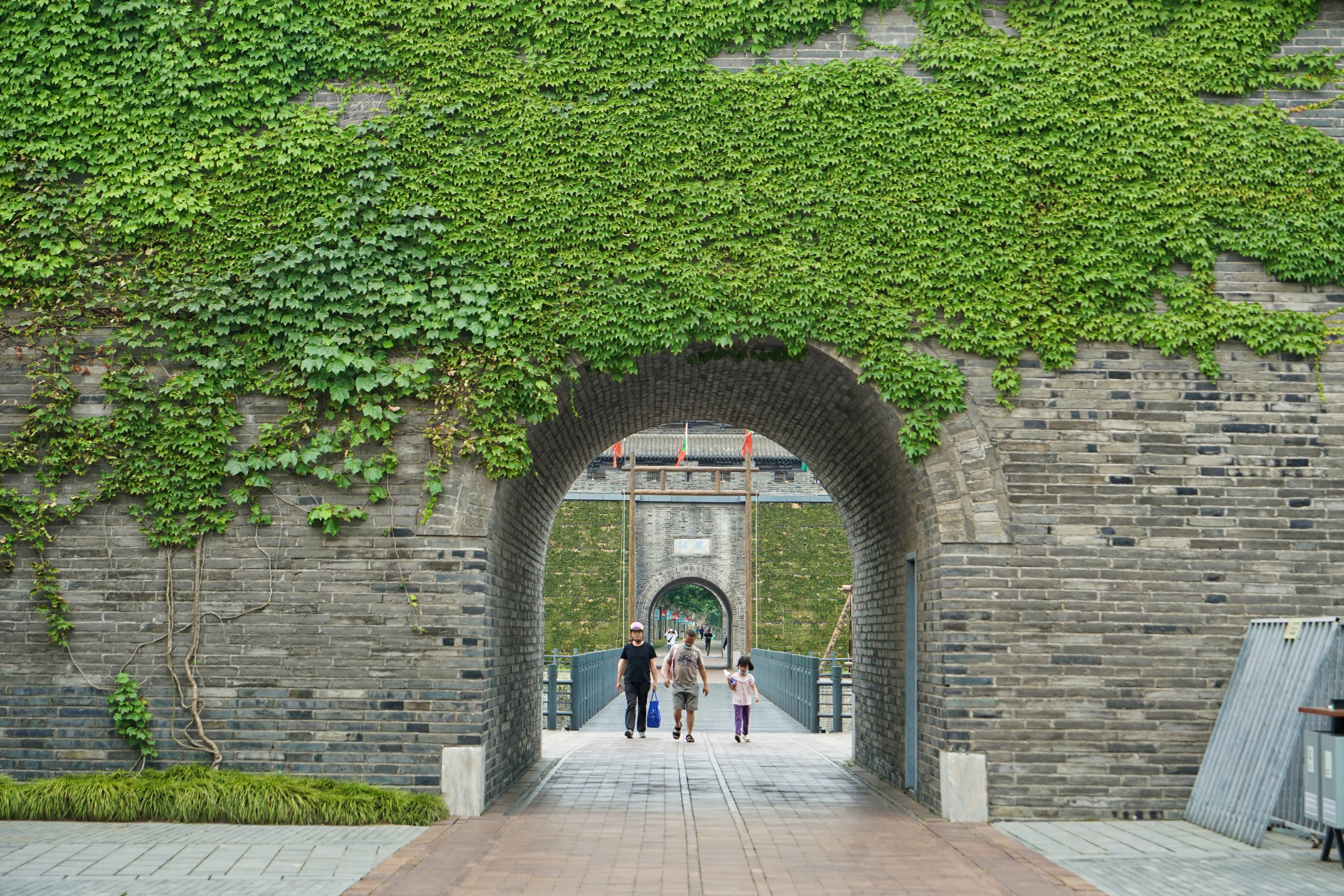 扬州五天游,扬州五天四晚游