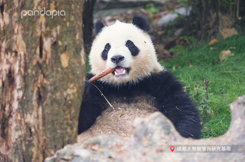 做塑料姐妹,真正的塑料姐妹是什么样的