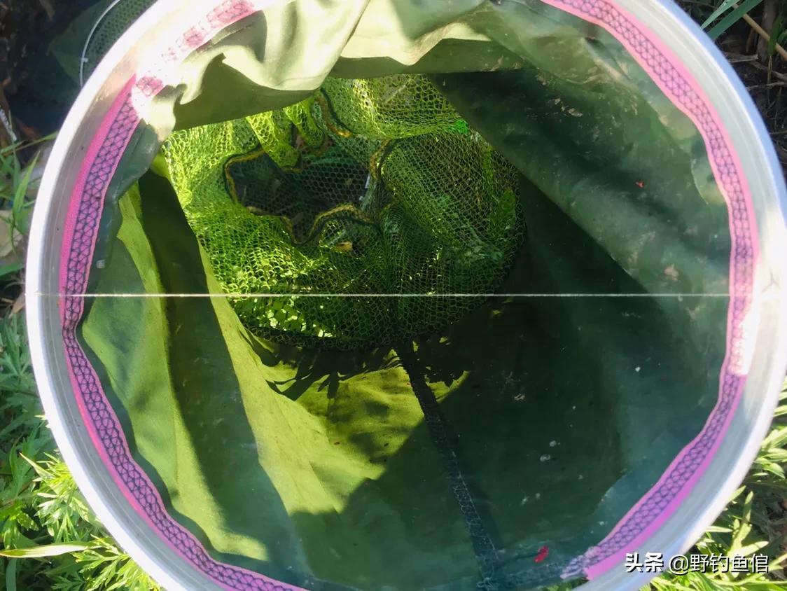 不用穿针直接拉线钓鱼,不用花一毛钱做一个路亚竿