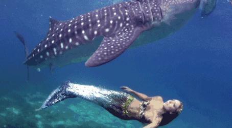 只要你愿意，就能圆你一个人鱼公主梦|美人鱼系列课程