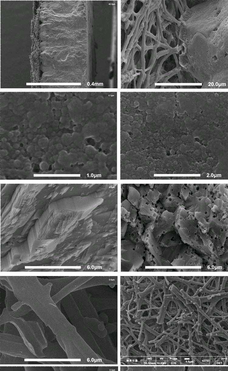 鸡蛋壳做肥料是补钙肥吗,鸡蛋壳可以给植物补钙吗
