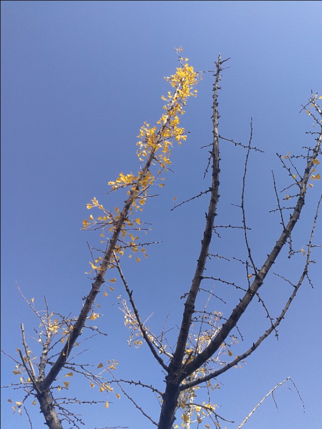 农村老物件7080的乡村记忆,乡村记忆老物件图片