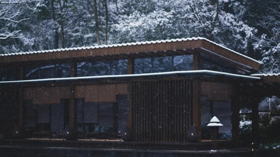 森林秘境的温泉,森林里野奢温泉度假酒店下午茶