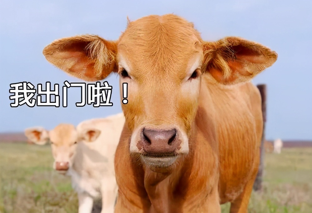 12306票务系统有多厉害,12306系统为啥抢不到票