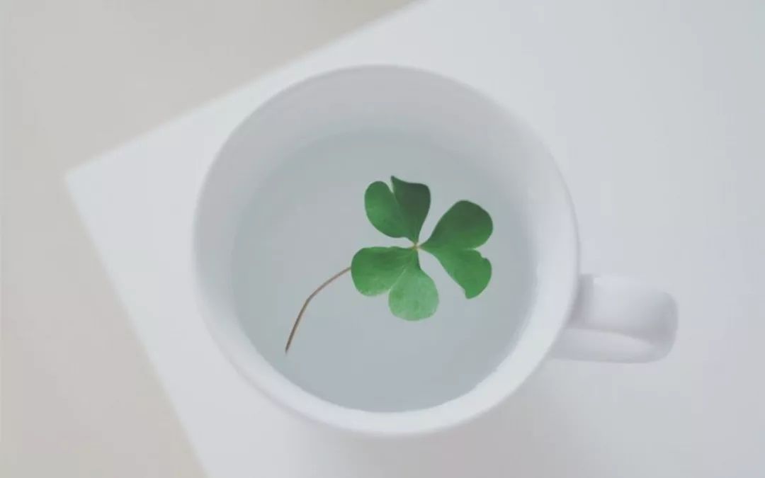 男友年纪大父母反对,男朋友大我十岁家长反对