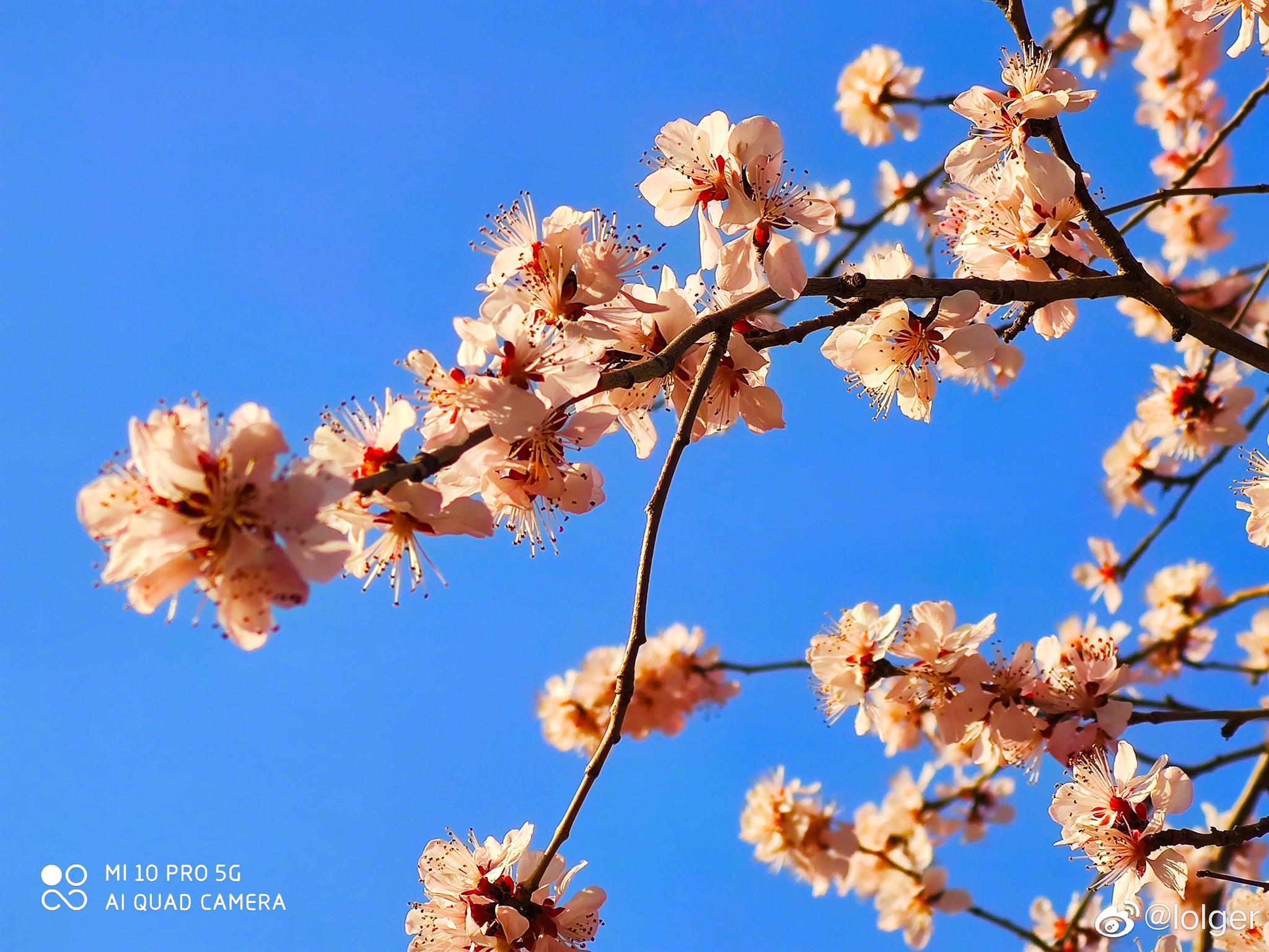 小米新机吊打苹果,数码博主爆料小米发布新机