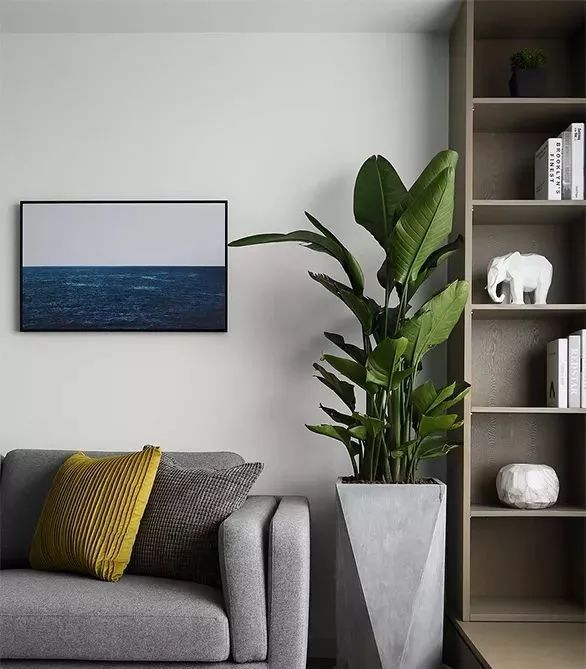 性冷淡家居装修,性冷淡的风格装修软装