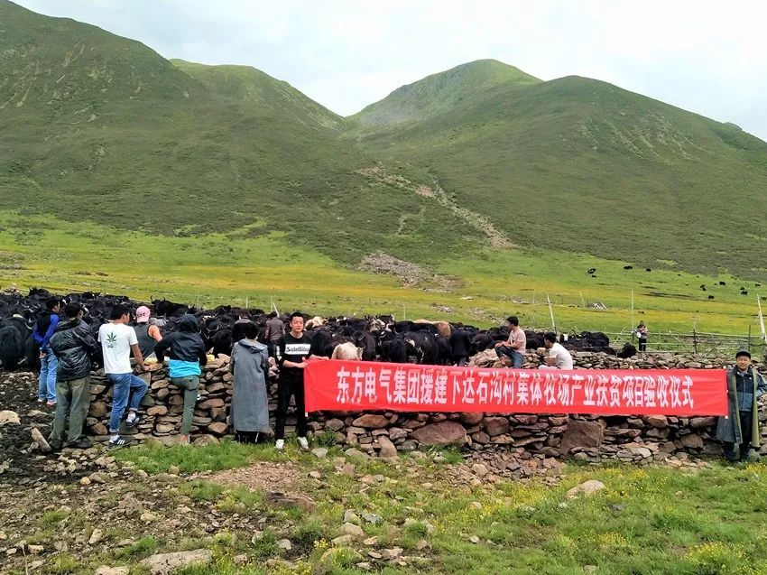 探访四川省卫健委帮扶下的壤塘：产业健康扶志都抓，脱贫内生动力激发