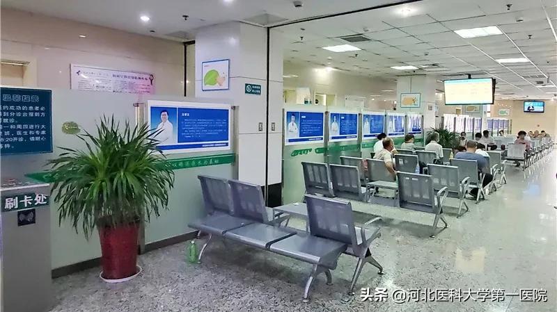 8大病区11个门诊多个特色诊疗，医大一院这个学科太“硬核”了