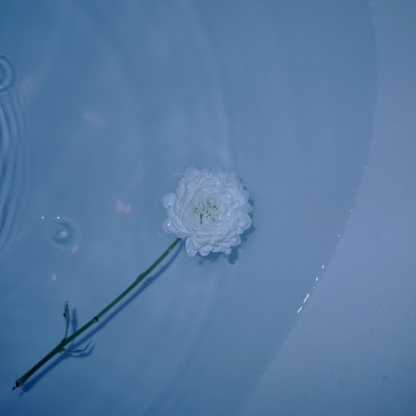 适合抖音文案的句子,适合寒假发到朋友圈的文案句子