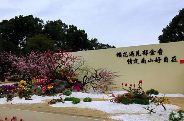 重庆怎么玩最合理景点推荐,重庆攻略一天怎么玩舒服