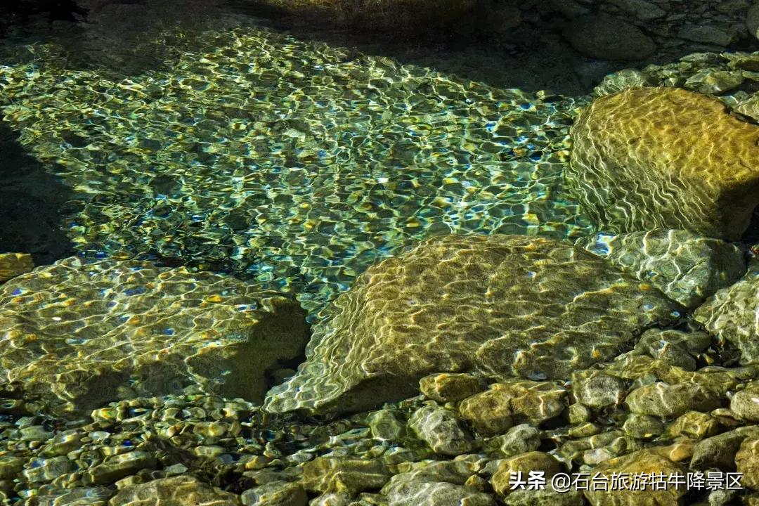 石台县牯牛降直播间,牯牛降宣传视频