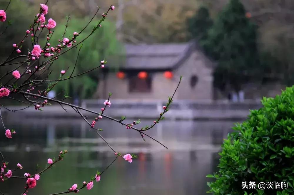 临朐历史上最好的地方,临朐历史上真实的变化