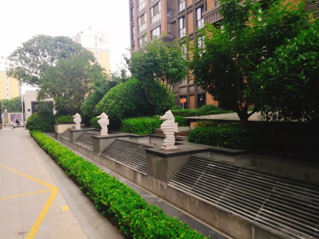 徐州1万左右房子,徐州单价1万湖景房