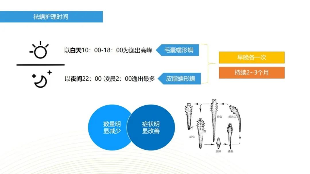 眼睛总是痒？总感觉眼睛里有东西？结膜炎角膜炎反反复复？可能是你的眼睛里有螨虫