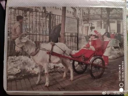 没这几张合影，谁敢说自己在天津长大？