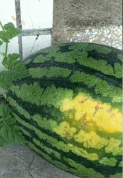 开心搞笑视频小哥哥,小哥哥搞笑视频gif