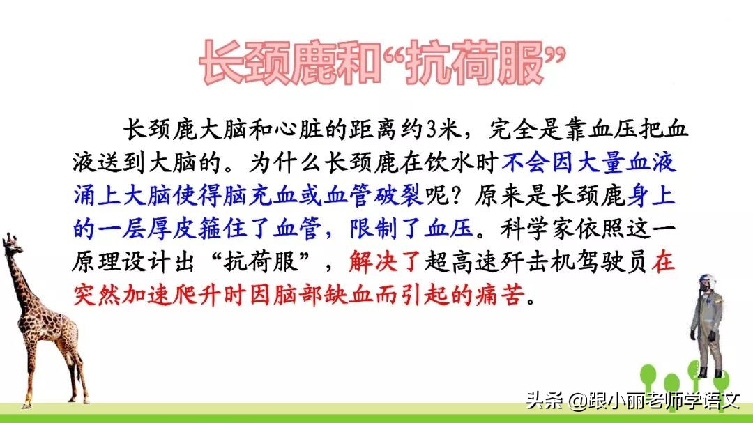 语文思维导图四年级上蝙蝠和雷达,人教版四年级上册蝙蝠和雷达朗读