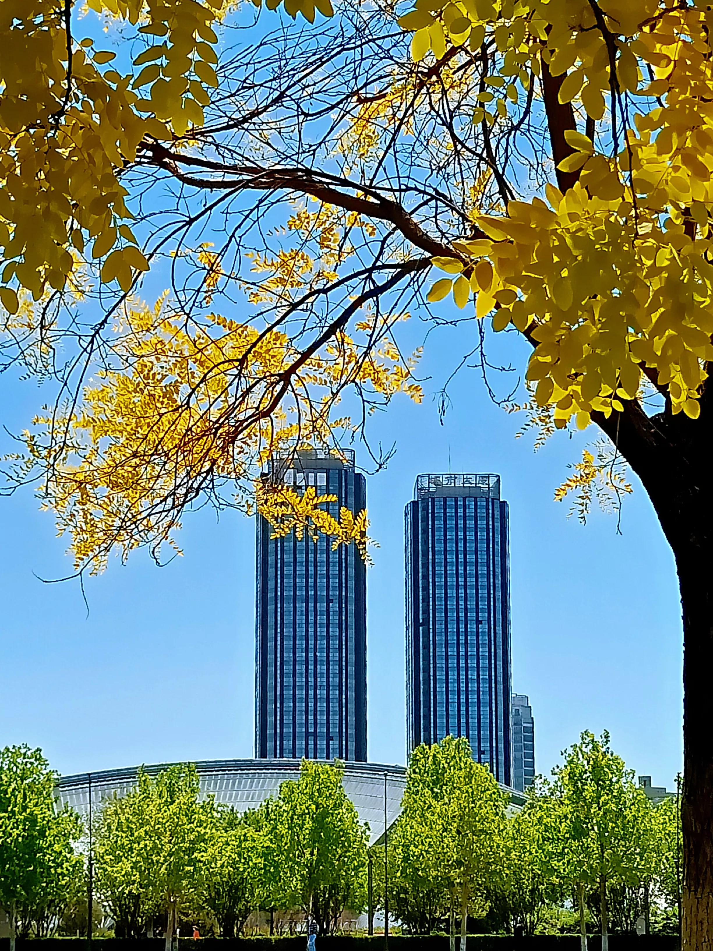 天津银河广场景观,天津银河公园攻略