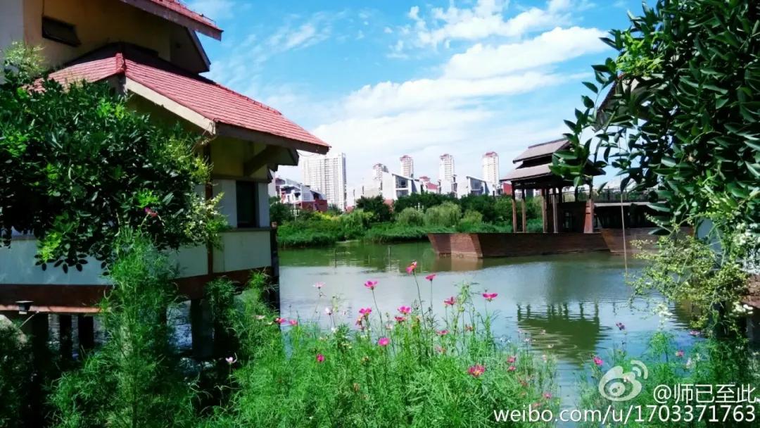 津南区打架,津南区打架视频