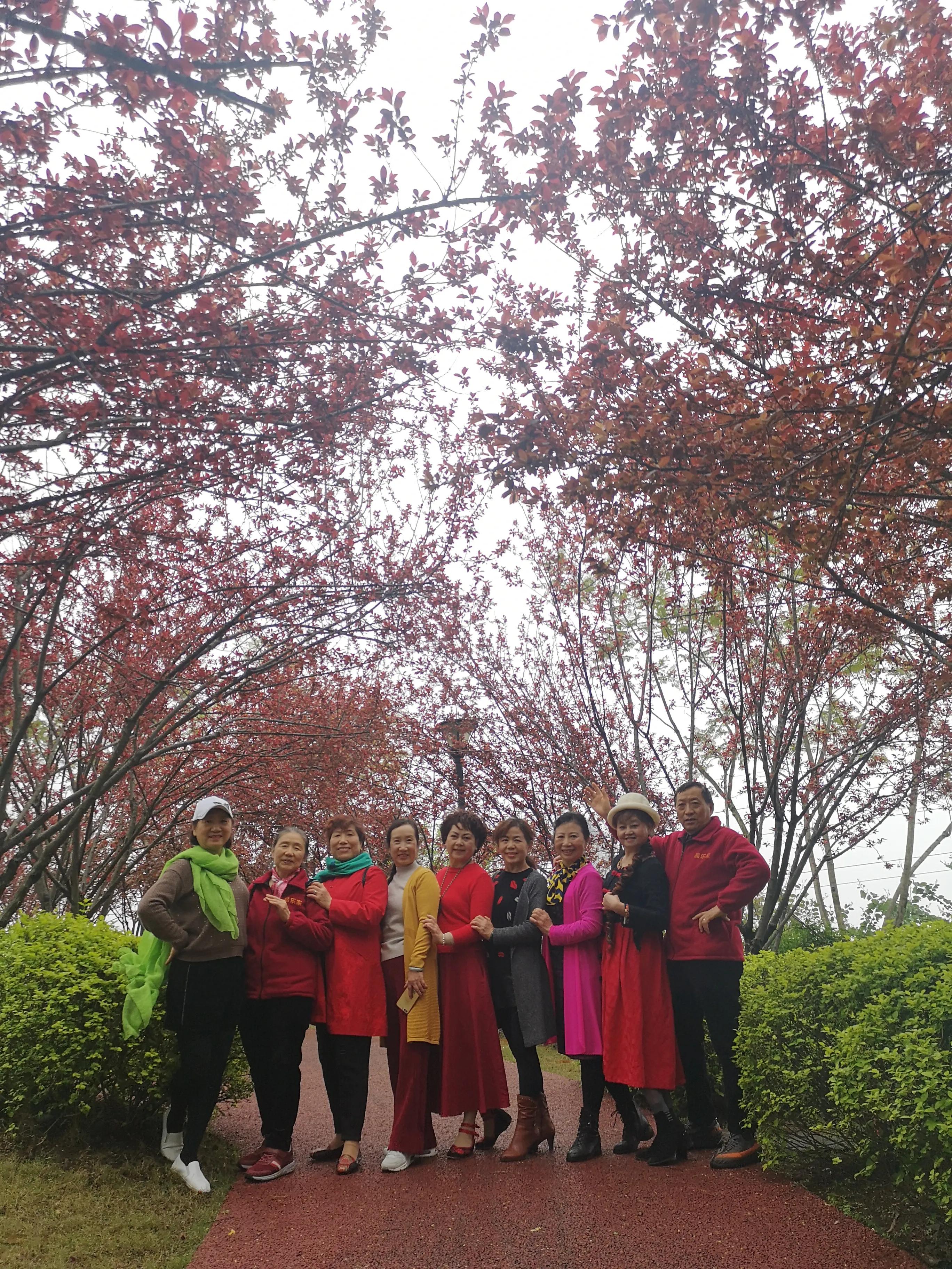 春游和姐妹踏青,春游踏青姐妹拍照