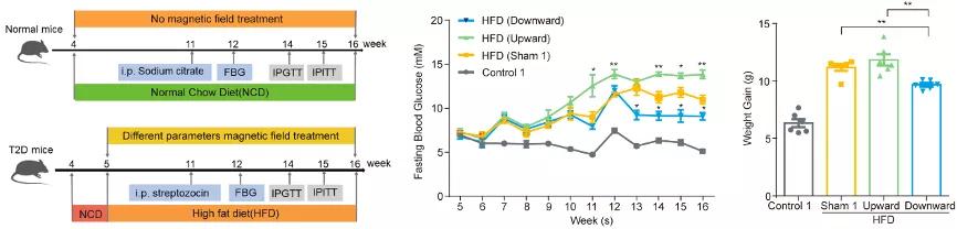 糖尿病患者可以依靠锻炼降糖吗,糖尿病引体向上降血糖
