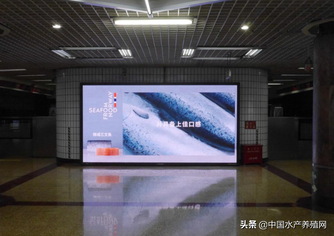 最受欢迎海产品,最受国人欢迎的海鲜