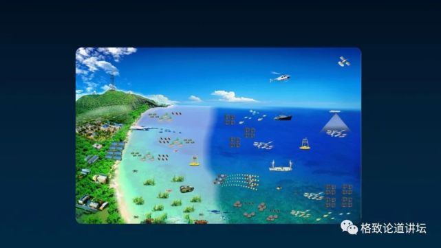 除了能提高人体免疫力，这个“肥宅”还是海底清道夫