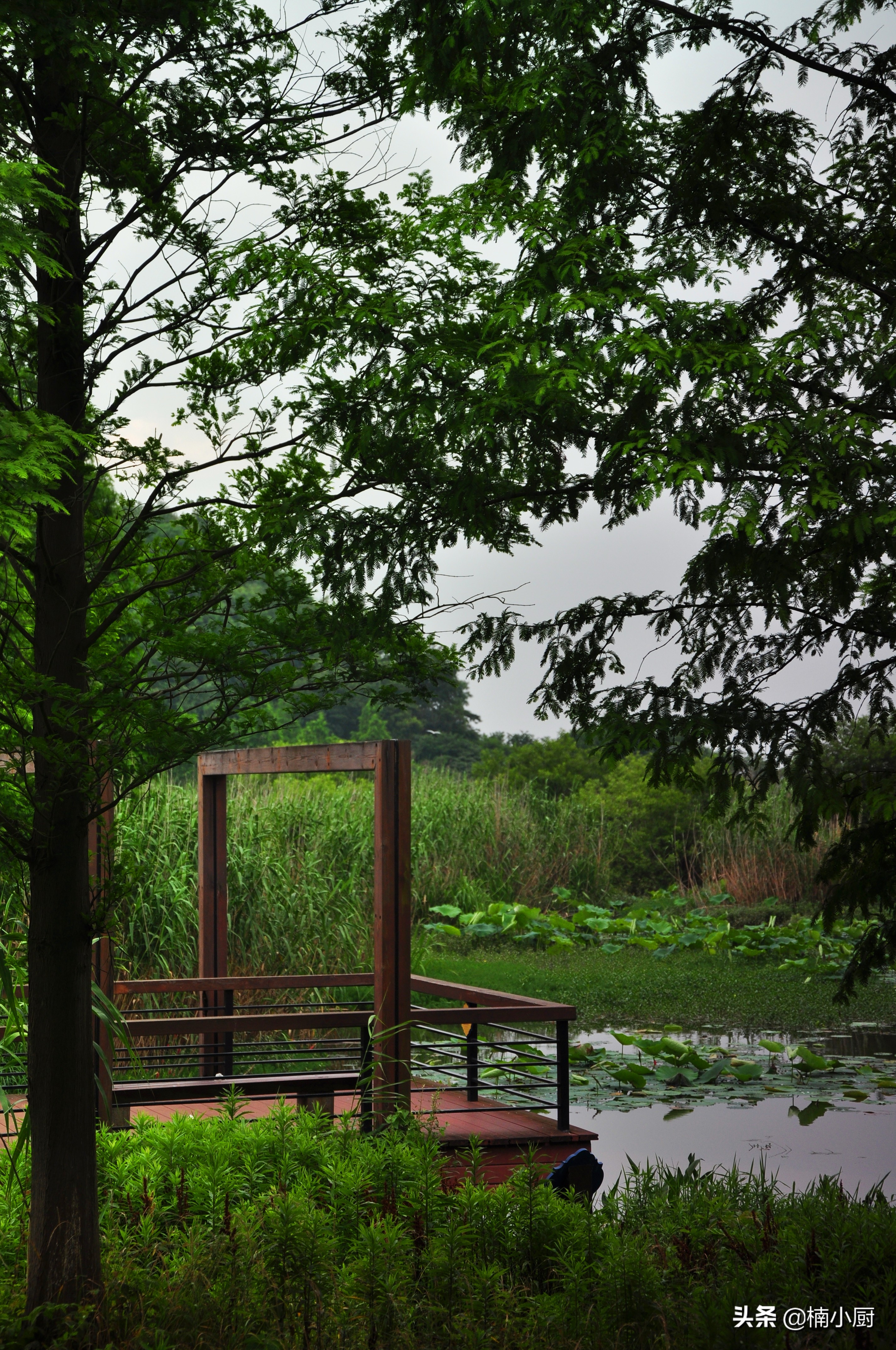 宁波旅游东钱湖,旅行宁波