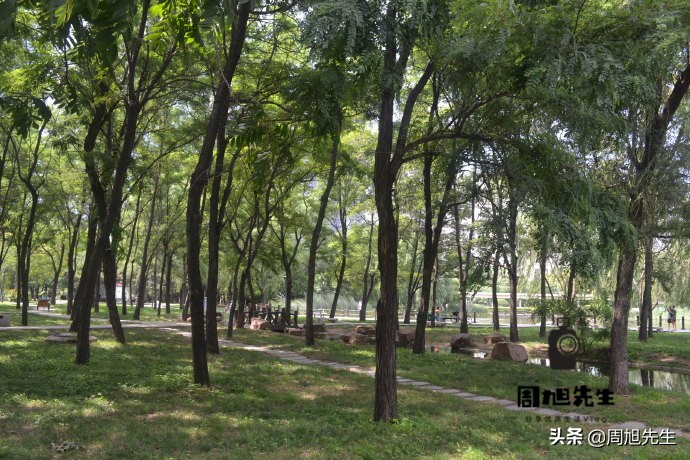 畅游沈阳｜沈阳科普公园，开展科普活动的主要公园