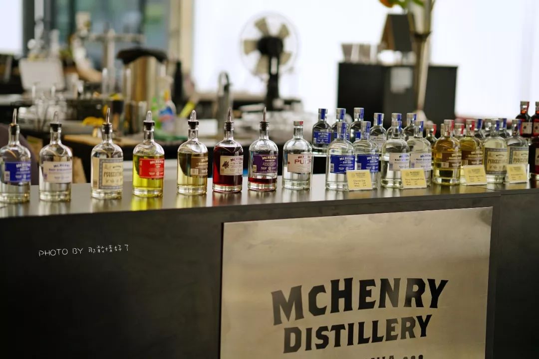 去哪里旅游可以看南极企鹅,旅游攻略南极看企鹅