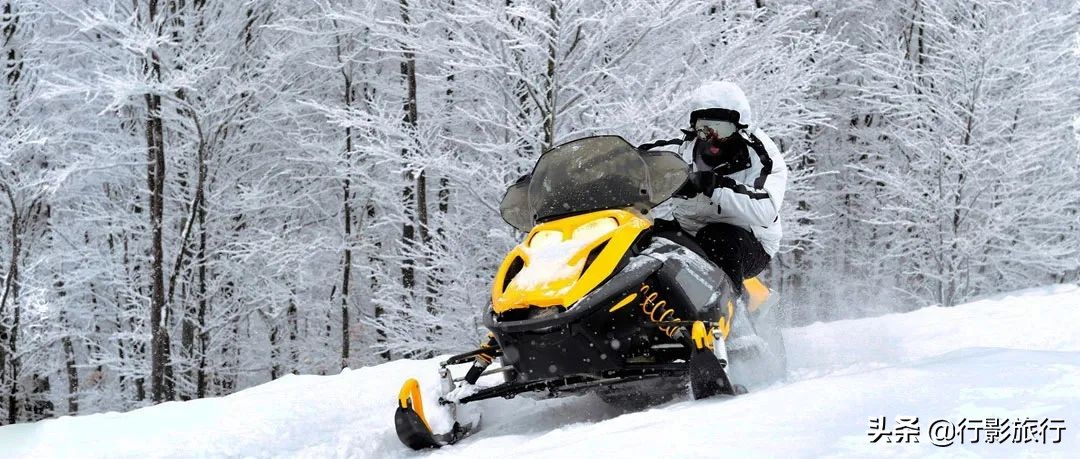 东北人是如何评价日本人的,作为东北人你怎么评价哈尔滨