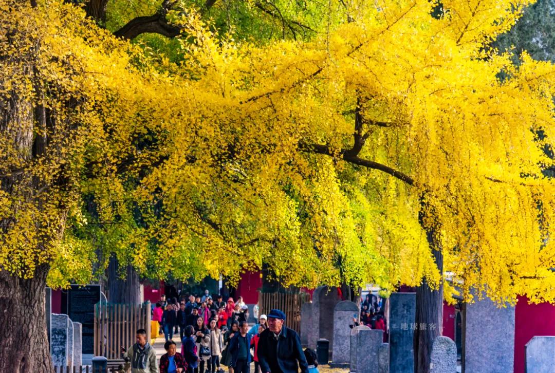 嵩山为何是天下第一山,为什么嵩山是最有气质的