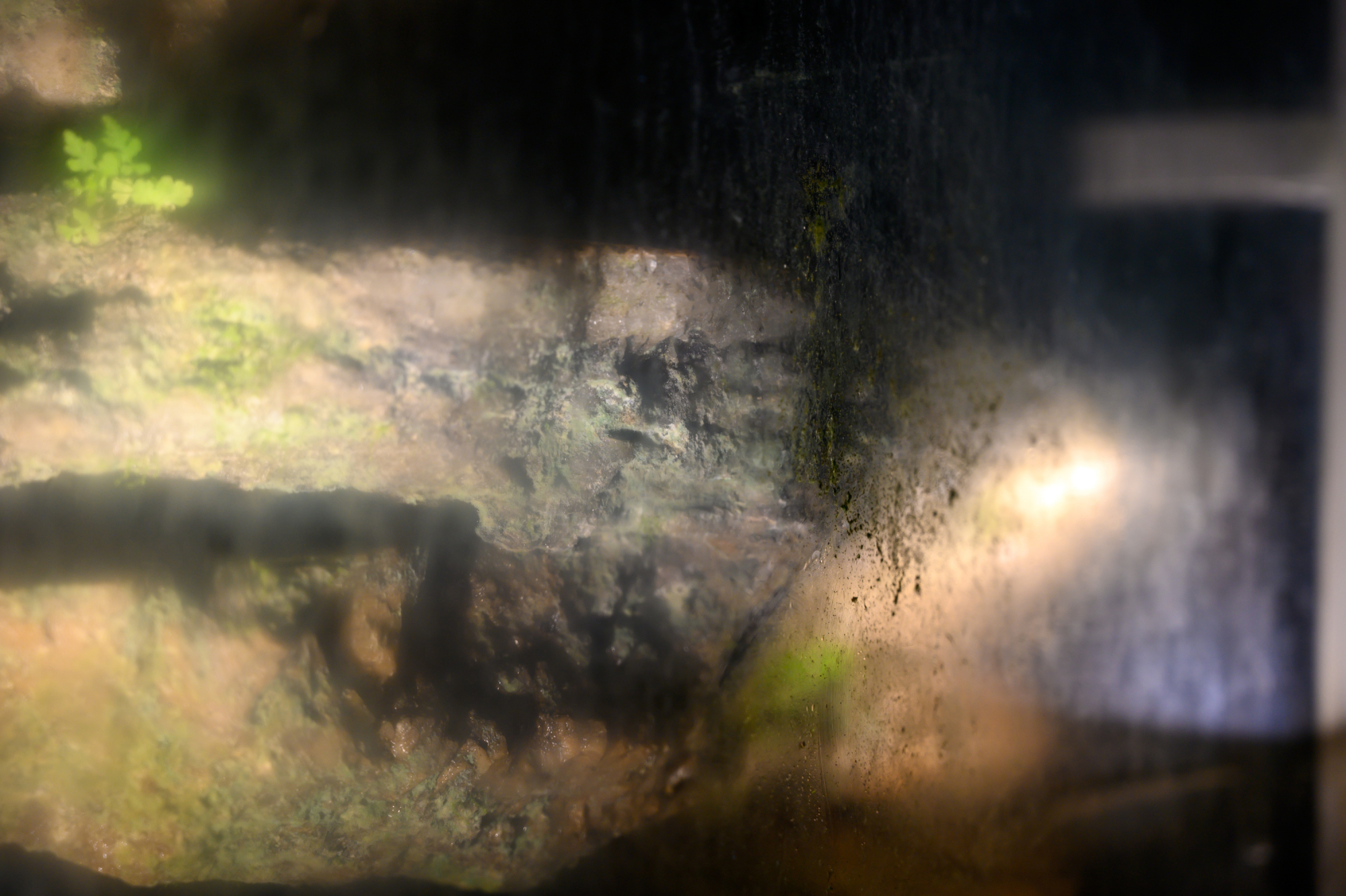 浙江桐庐仙境,杭州桐庐仙境景区