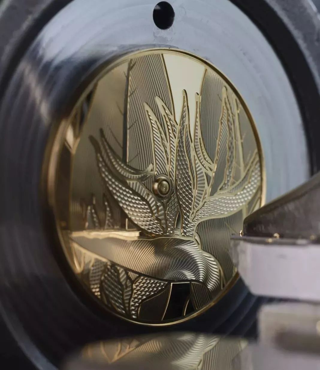 8万能买到的江诗丹顿,香港江诗丹顿在售的型号