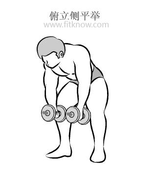 哑铃锻炼胸肌的最佳动作图解,哑铃锻炼手臂图解