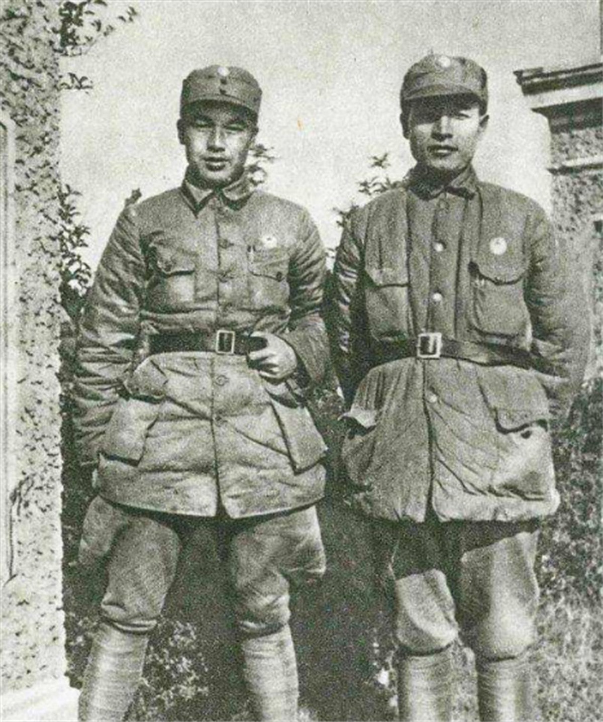 张云逸飞马,张云逸香烟