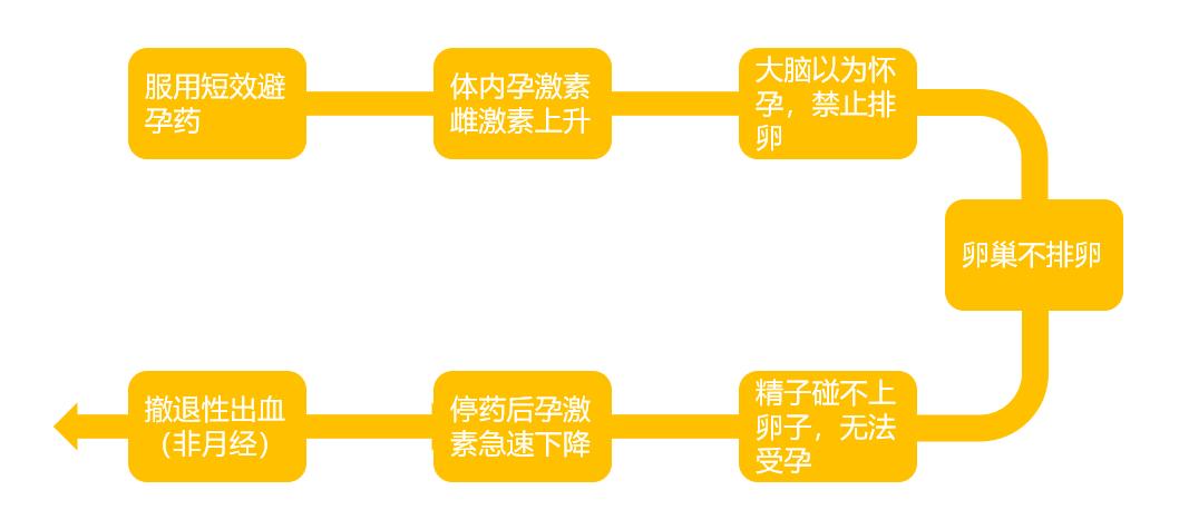 避孕药的危害及补救方法,避孕药后果是什么