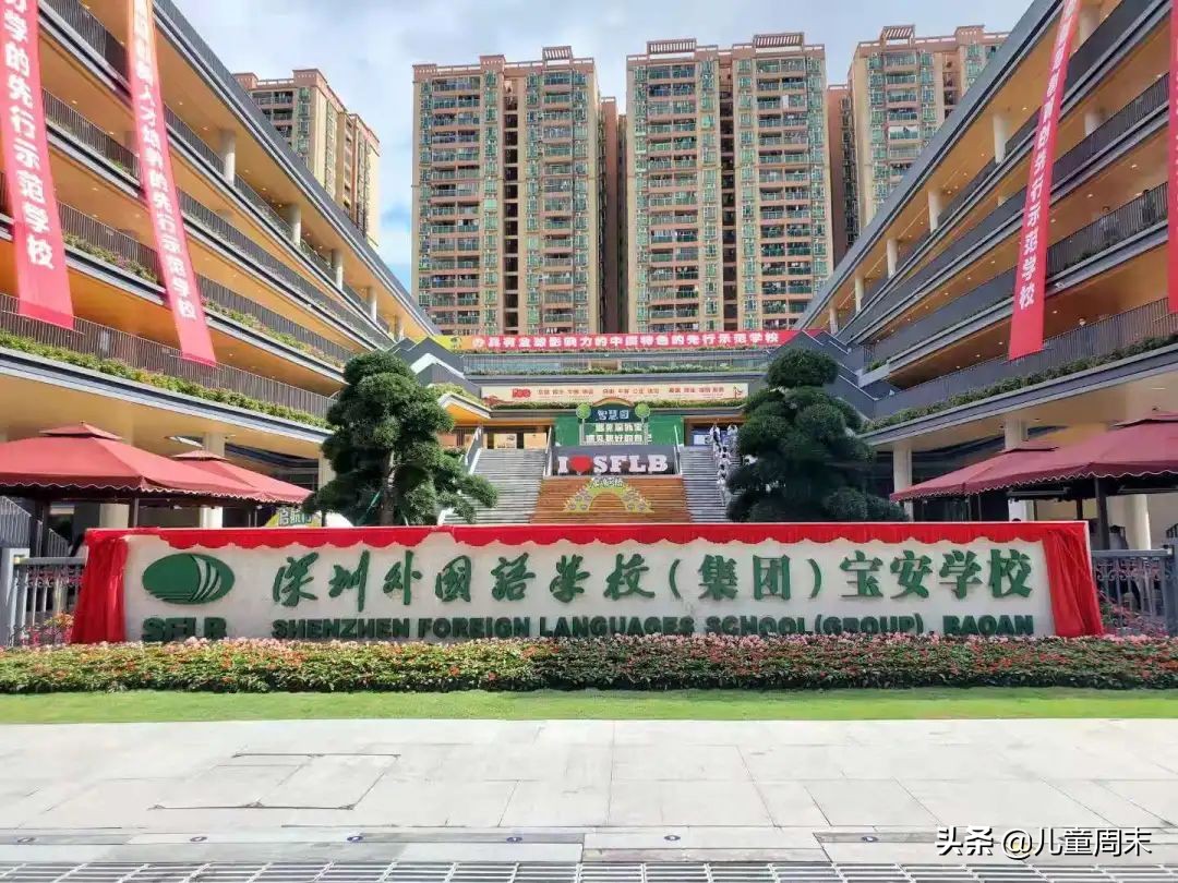 深圳市宝安区新开的学校,深圳市宝安区公办学校