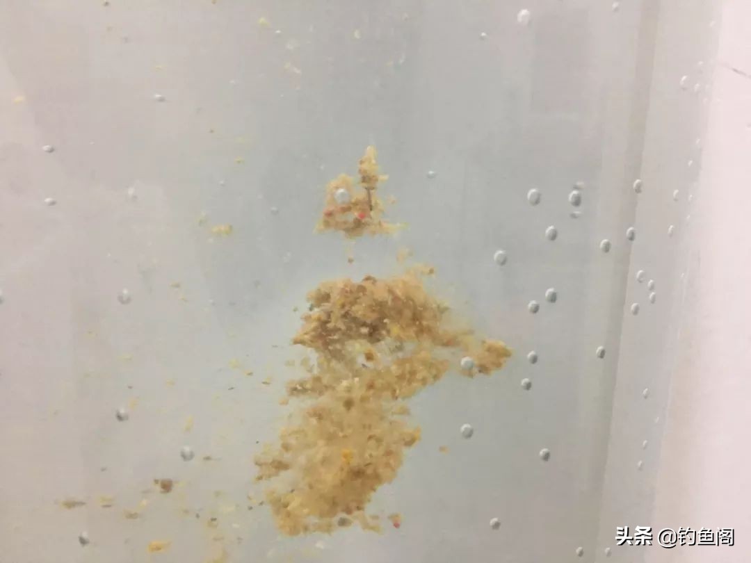 搓饵可以先拉饵再搓饵吗,先拉饵后搓饵还是先搓饵后拉饵